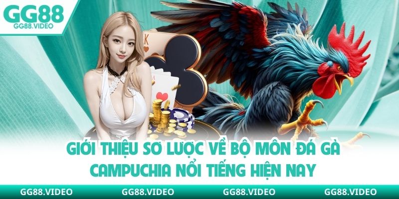 Giới thiệu sơ lược về bộ môn đá gà Campuchia nổi tiếng hiện nay