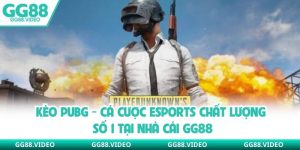 Kèo PUBG - Cá Cược Esports Chất Lượng Số 1 Tại Nhà Cái GG88